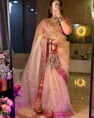 Heavy Soft Organza saree